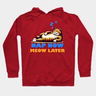 Cute Fat Lazy Cat Lying Hoodie